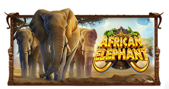 African Elephant™