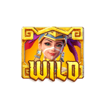 สัญลักษณ์ Wild